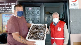 Kocaeli'de boy yasağına uymadığı için el konulan 3 ton balık ihtiyaç sahiplerine dağıtıldı