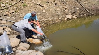 Kumluca'da Toptaş Göleti'ne 20 bin sazan yavrusu bırakıldı