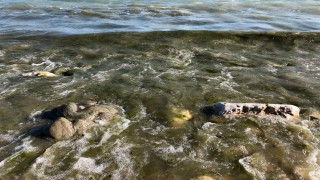 Lağım borusu patladı, Eğirdir Gölü'nü atıklar kapladı