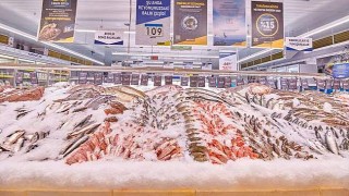 Metro Türkiye'den balık sezonuna özel deniz balıklarında yüzde 15 indirim