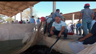 Şanlıurfa'da üretilen 17 milyon yavru balık, 16 kentteki su kaynaklarına bırakılacak