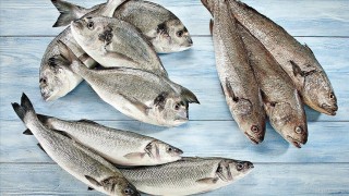 Türkiye, su ürünleri ve hayvansal mamul ihracatında yeni rekora koşuyor