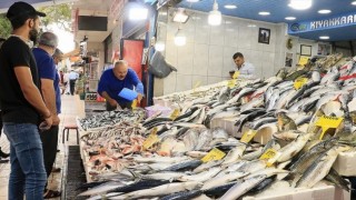 Zonguldak'ta balıkçıların avladığı istavrit tezgahları süsledi