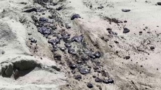 California’daki petrol sızıntısında harekete geçmekte geç kalındığı iddia edildi