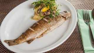 Her yıl binlerce kişi alabalık yemek için Keban'ı tercih ediyor