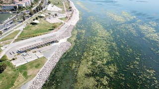 İzmir'de deniz yeşile büründü