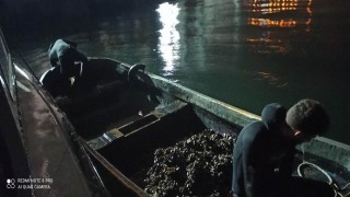 İzmit Körfezi'nde kaçak midye avlayan 6 kişi yakalandı