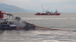 Karadeniz'de 'palamut' kendini gösterdi