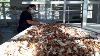 Muğla'da su ürünleri ihracatının 500 milyon doları aşması bekleniyor