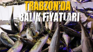 Trabzon'da balık fiyatları