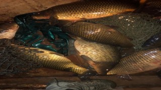 Afyonkarahisar'da baraj göletinde kaçak balık avlayanlara para cezası