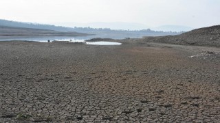 Bodrum'u bekleyen büyük tehlike: Susuz yaz