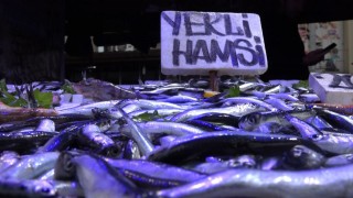 'Karadeniz'de balık stoku azalıyor'
