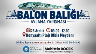 Antalya'da Balon Balığı Avlama Yarışması