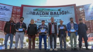 Balıkçılar, istilacı tür balon balığını yakalamak için yarıştı