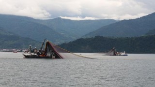 Karadeniz ısınıyor, balık stokları azalıyor