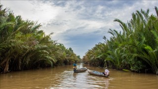 Büyük Mekong Bölgesi'nde 224 yeni tür keşfedildi