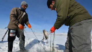 Eskimo usulü balık avını görüntülemek için Ağrı'ya geliyorlar