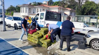 Sarıyer sahil şeridinde kaçak midye avcılarına denetim