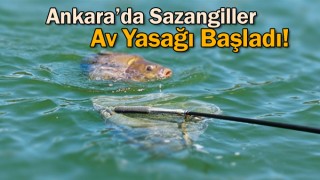 Ankara’da Sazangiller Av Yasağı Başladı!