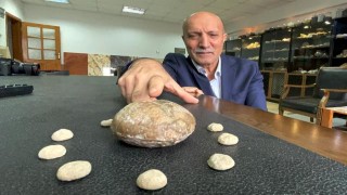 Elazığlı mühendis deniz canlısına ait "milyon yıllık" fosili iş yerinde sergiliyor