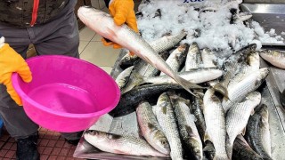 Karadeniz'deki kötü hava koşulları balıkçılığı olumsuz etkiledi