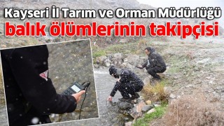 Kayseri İl Tarım ve Orman Müdürlüğü balık ölümlerinin takipçisi