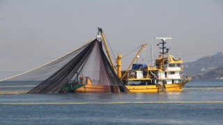 Marmara Denizi'nde umduğunu bulamayan balıkçılar rotayı Ege'ye çevirdi