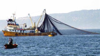 Balıkçılıkta av sezonu 15 Nisan'da kapanıyor