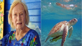 Kaplumbağaların "gönüllü annesi" Kaptan June yaşamını yitirdi