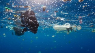 Plastik atıklar denizlerde biyoçeşitliliği olumsuz etkiliyor