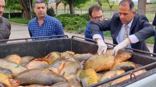 Elazığ'da kaçak avlandığı belirlenen 500 kilogram balık ele geçirildi