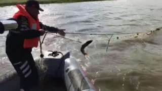 Samsun'da av için göle bırakılan 500 metre ağa el konuldu