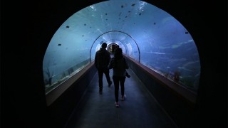 Tarihi vadilerin arasında 198 Metrelik "Tünel Akvaryum"