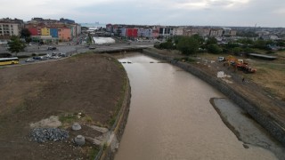 Silivri'deki Boğluca Deresi'nde toplu balık ölümlerinin nedeni araştırılıyor