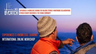 Akdeniz'de hedef dışı balıkçılığı azaltmak için çalıştay