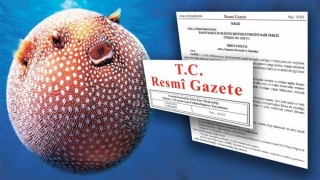 Balon Balığı Avlayanlara Ödenecek Destek Tutarları Artırıldı