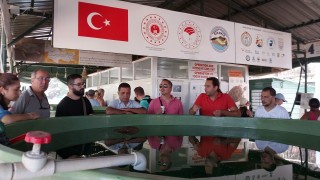 Deniz kaplumbağalarının balıkçılık faaliyetlerinden etkilenmemesi sağlanacak