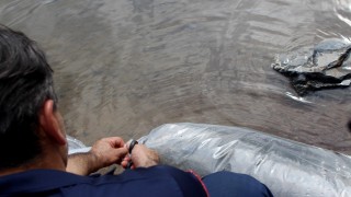 İstanbul Tarım ve Orman İl Müdürlüğü, 5 ilçede 21 gölete sazan yavrusu bıraktı