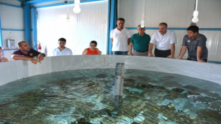 Kumluca'daki iş insanları su ürünlerine yöneldi