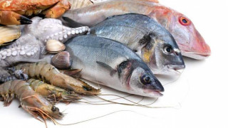 İzmir'de öğrencilere su ürünlerini tanıtmak için protokol imzalandı