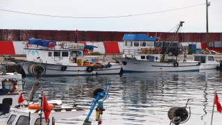 Tekirdağ'da balıkçılar poyraz nedeniyle açılamayınca balık fiyatları arttı