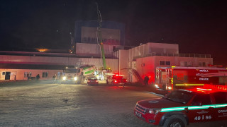 Muğla'da balık yemi fabrikasında yangın başladı