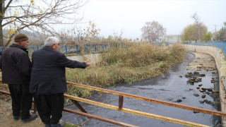 Nizip Çayı'nda balık ölümleri görüldü