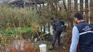 Tekirdağ'da balık ölümlerinin yaşandığı Yuvalı Deresi'nde atık suya rastlanmadı
