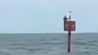 Atlantik'te teknesinden düşen balıkçı iki gün boyunca şamandıraya tutunarak hayatta kaldı