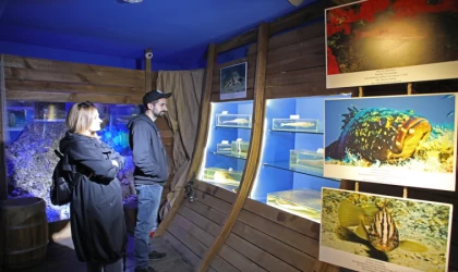 Antalya Deniz Biyoloji Müzesi'ndeki balıklar yenilenecek