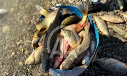 Depremzede balıkçı gölde tuttuğu balıkları çadır kentte yaşayanlarla paylaşıyor