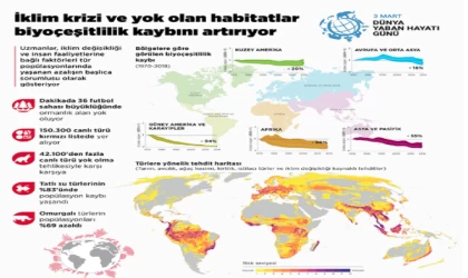 İklim krizi ve yok olan habitatlar biyo çeşitlilik kaybını artırıyor