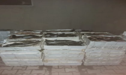 Kaçak Avcılar Kıskıvrak Yakalandılar